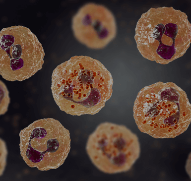 Hematologic Malignancies